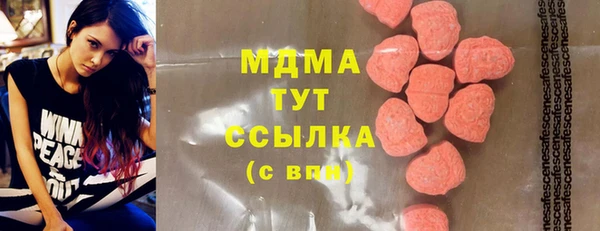дмт Ельня