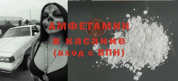 дмт Ельня