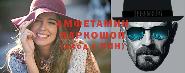 дмт Ельня