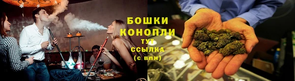 дмт Ельня