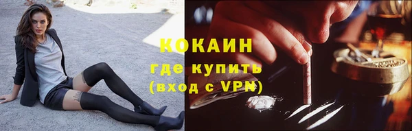 дмт Ельня