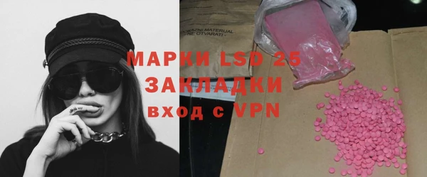 дмт Ельня