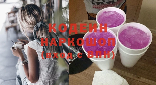 дмт Ельня