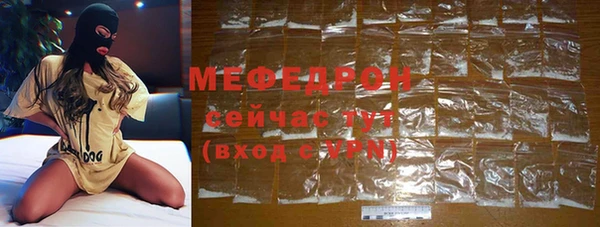 дмт Ельня