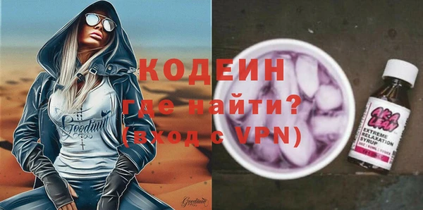дмт Ельня