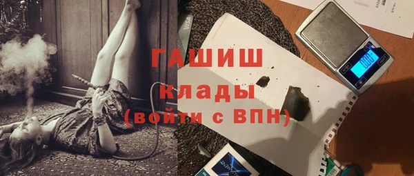 дмт Ельня