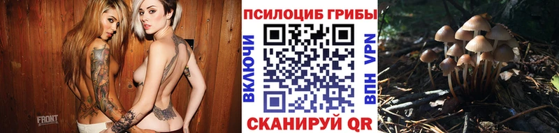 Псилоцибиновые грибы Psilocybine cubensis  Домодедово 